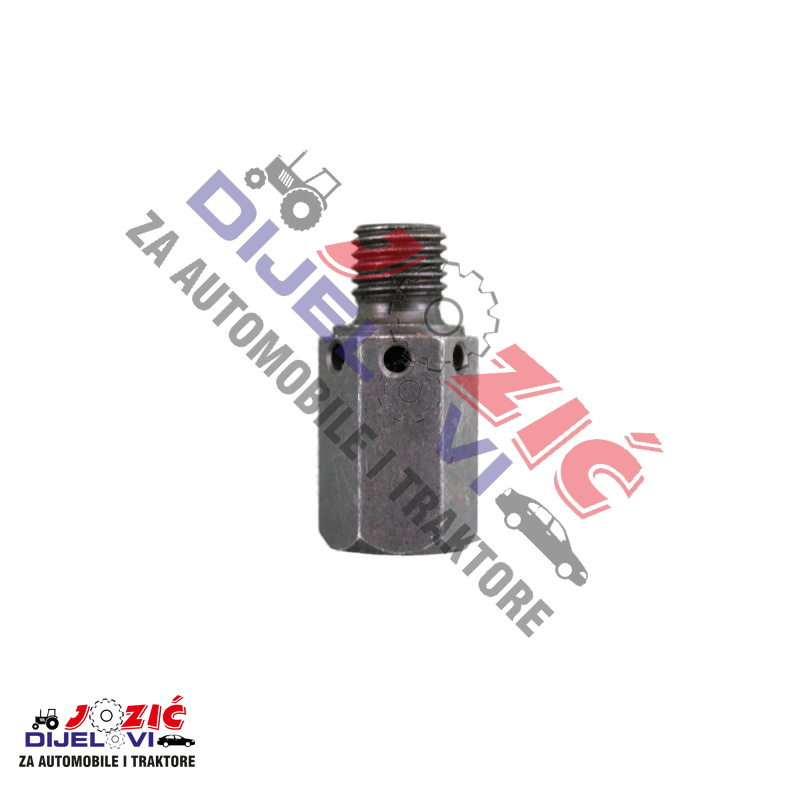 Daisy on the Ohoopee